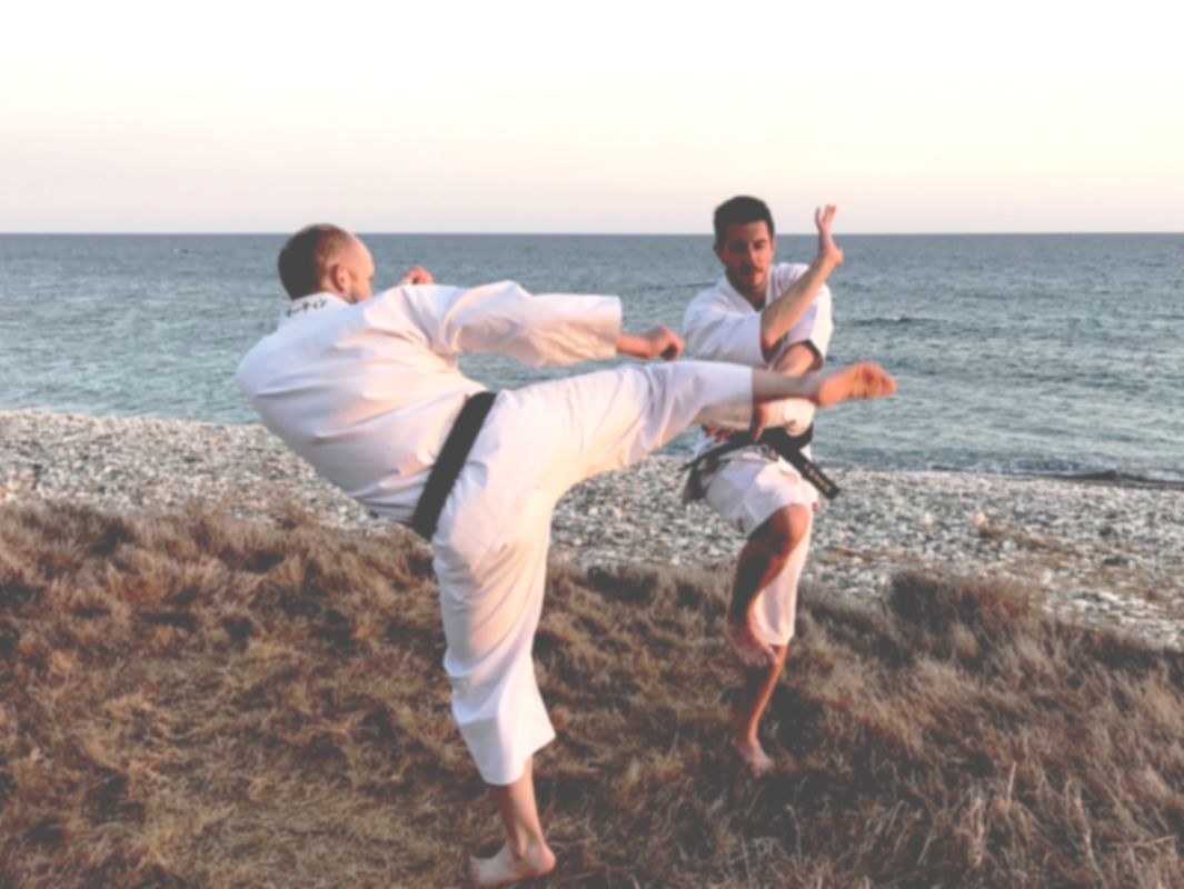 Shorinji kempo is a dynamic and practical martial art.